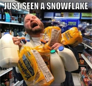IMG_3949.jpeg
