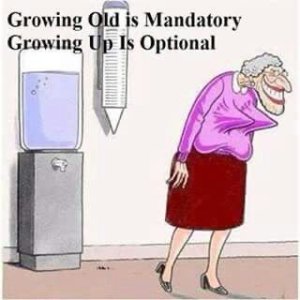 IMG_3959.jpeg