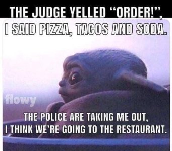 IMG_3981.jpeg