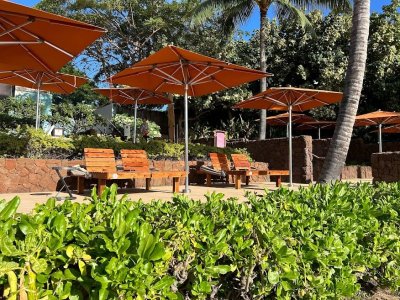 Malie Deck Chairs 2.jpg
