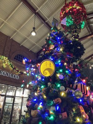 IMG_5181.JPG