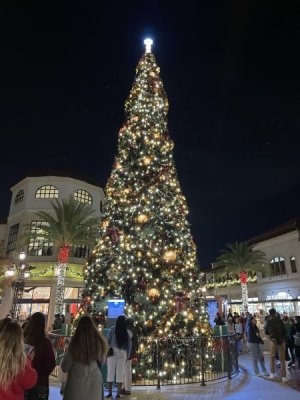 IMG_5187.JPG