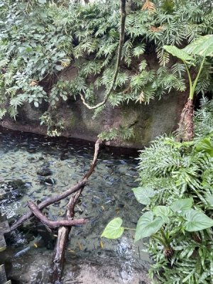 IMG_9549.jpeg