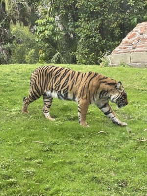 IMG_9586.jpeg