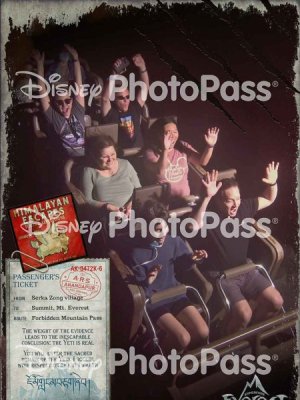 IMG_9593.jpeg