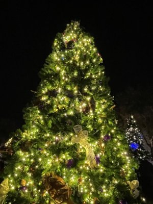 IMG_5204.JPG