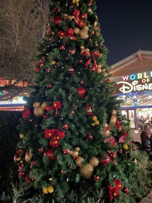 IMG_5205.JPG