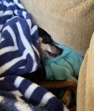 IMG_2A5B5BF992F3-1.jpeg