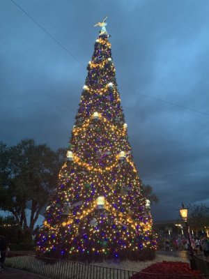 IMG_4529.JPEG