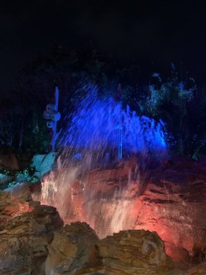 IMG_4550.JPEG