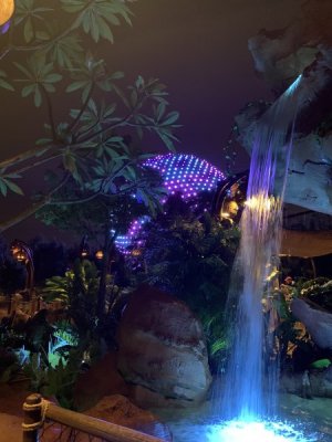 IMG_4543.JPEG