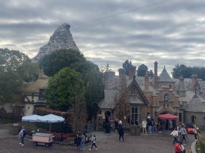 IMG_8303.jpeg IMG_8303.jpeg