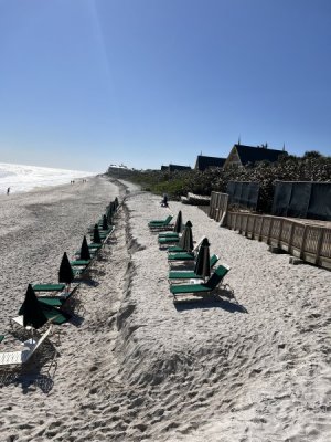 IMG_5990.jpeg