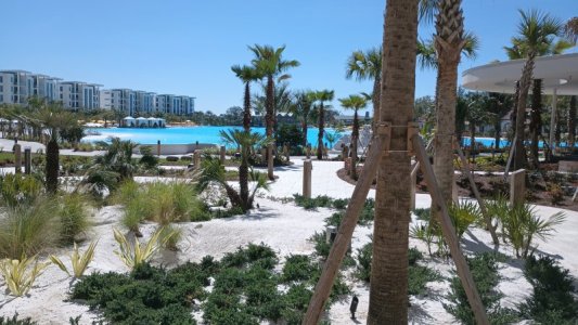 IMG_20240222_125027870.jpg