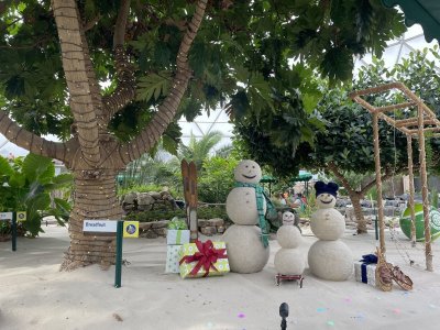 IMG_5325.JPG