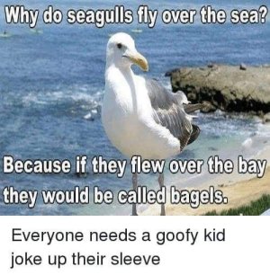 IMG_4122.jpeg