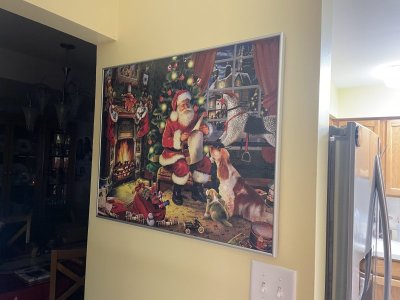 IMG_2847.jpeg