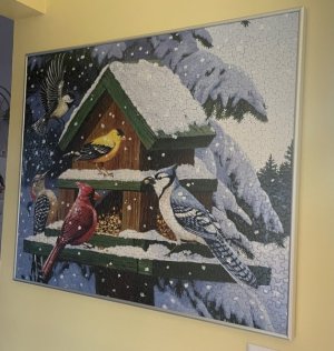 IMG_3215.jpeg