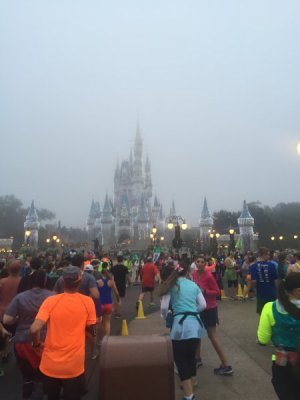 IMG_3991.jpeg