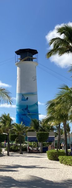 IMG_9734.jpeg