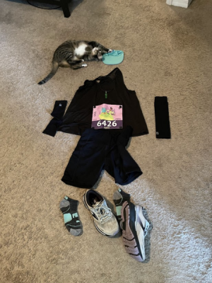 A flat me. My cat is playing with my visor.