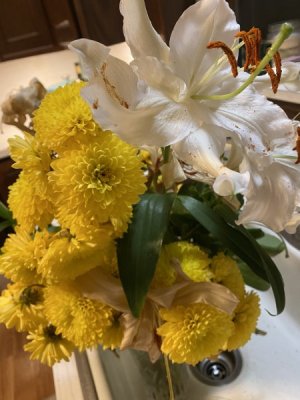 IMG_5320.jpeg