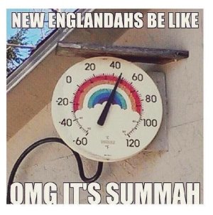 IMG_4161.jpeg
