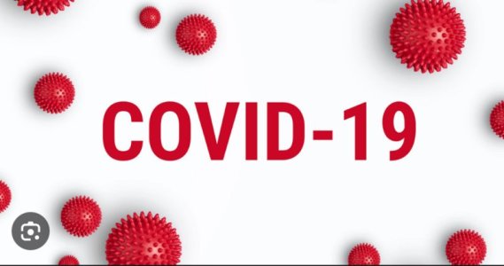 IMG_1593.jpeg IMG_1593.jpeg