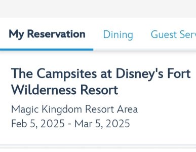 Screenshot_20240301_100957_Disney World.jpg