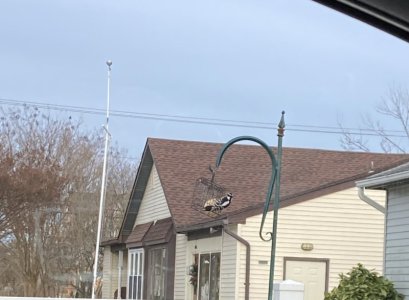 IMG_3064.jpeg