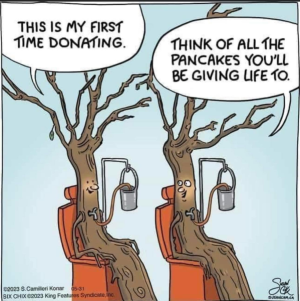 1709346975850.png