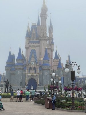 IMG_0116.jpeg