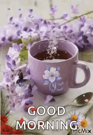 IMG_3111.gif
