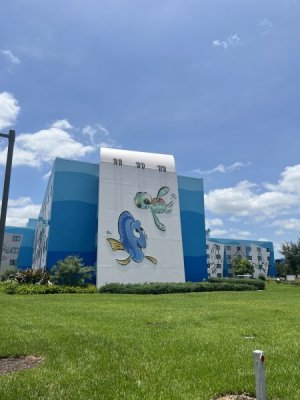 IMG_5212.JPG