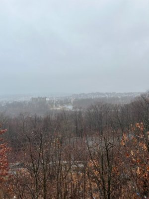 IMG_1285.jpeg
