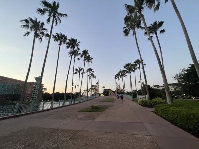 IMG_5263.JPG