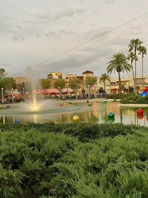 IMG_0004.jpeg