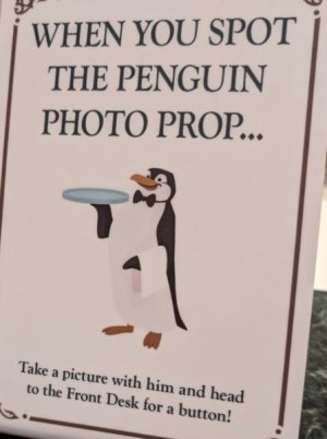 IMG_1531.jpeg