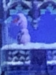 IMG_5224.jpeg
