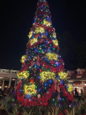IMG_5534.JPG