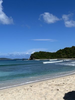 IMG_3196.jpeg