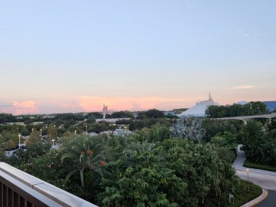 20220820_071153.jpg