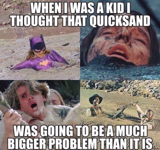 IMG_4264.jpeg