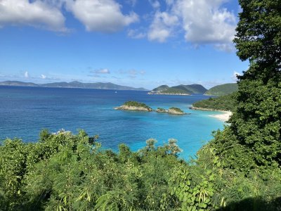 IMG_9924.jpeg