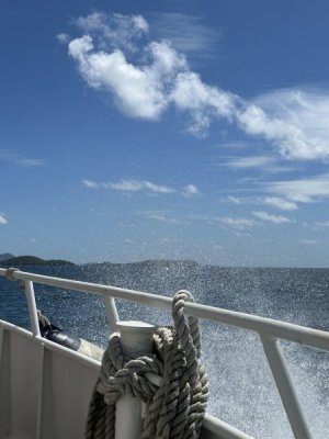 IMG_3252.jpeg