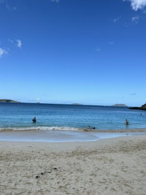 IMG_3259.jpeg