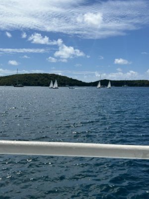 IMG_3253.jpeg