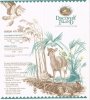 1992 Discovery Island Brochure WDW.jpg
