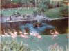 Flamingos in Epcot Future World East side 1983.jpg