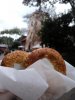 DSC08580-001.JPG